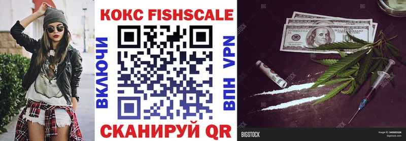 Cocaine Fish Scale  Купить закладки  Энгельс 
