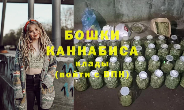трава Ельня