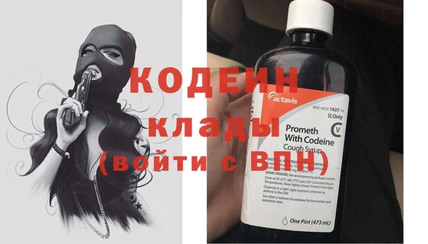 трава Ельня