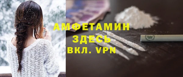 трава Ельня