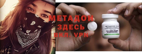 трава Ельня