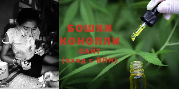 трава Ельня