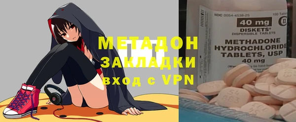 трава Ельня