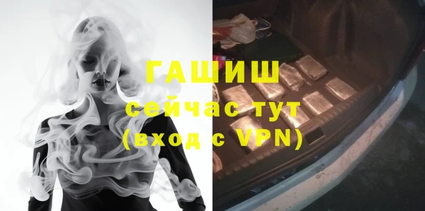трава Ельня