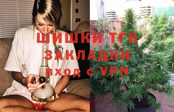 твердый Елизово