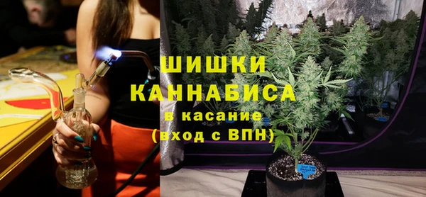 трава Ельня