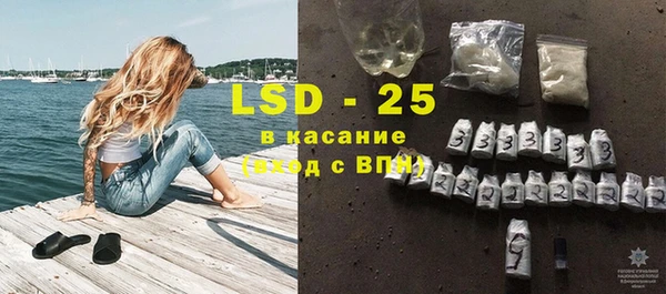 трава Ельня