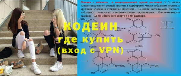 трава Ельня