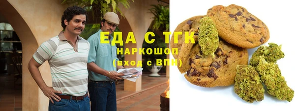 трава Ельня