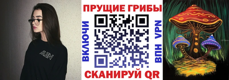 Галлюциногенные грибы Psilocybine cubensis Энгельс