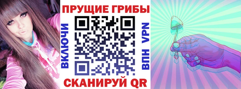 Купить  Энгельс  Псилоцибиновые грибы Psilocybe 